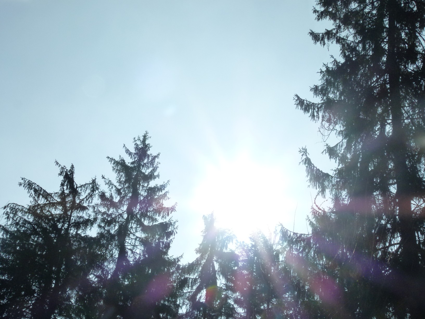 CAL 2012 vyprava do Alifbaje 4. 9.4. 38